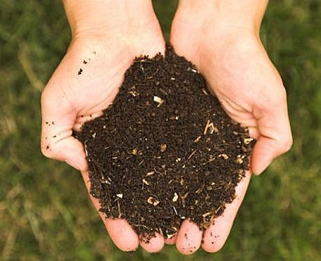 Compost Bins – Create Great Garden Compost